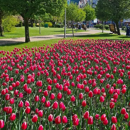 Apartman Boho - Nad Morzem W Kolobrzegu Kasprowicza 20c Parking, Basen, Silownia, Bawialnia W Cenie *